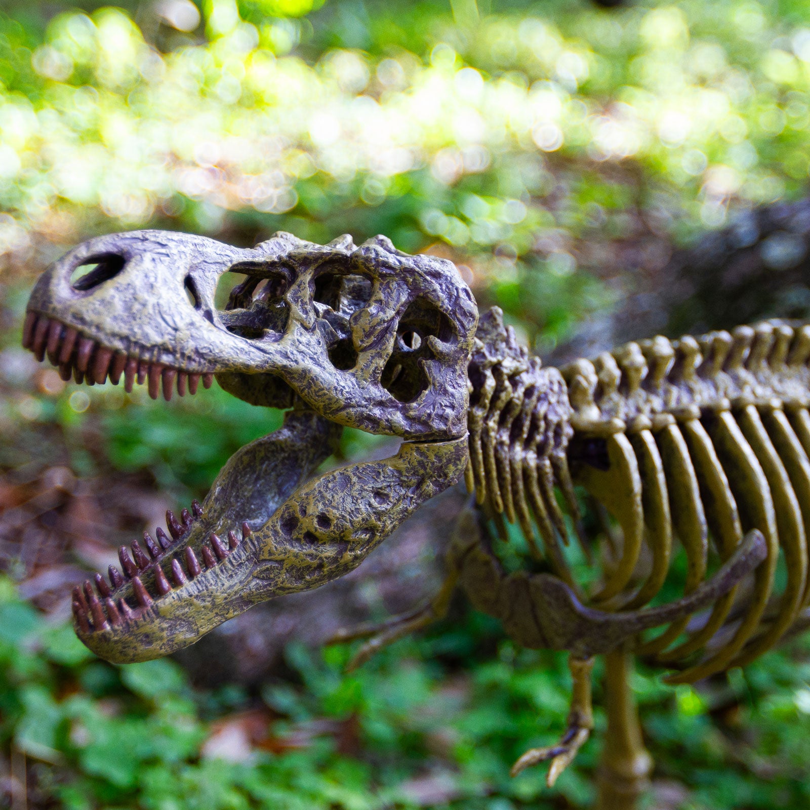 Dr. Steve Hunters GEOWorld Paleo Expedition Tyrannosaurus Rex