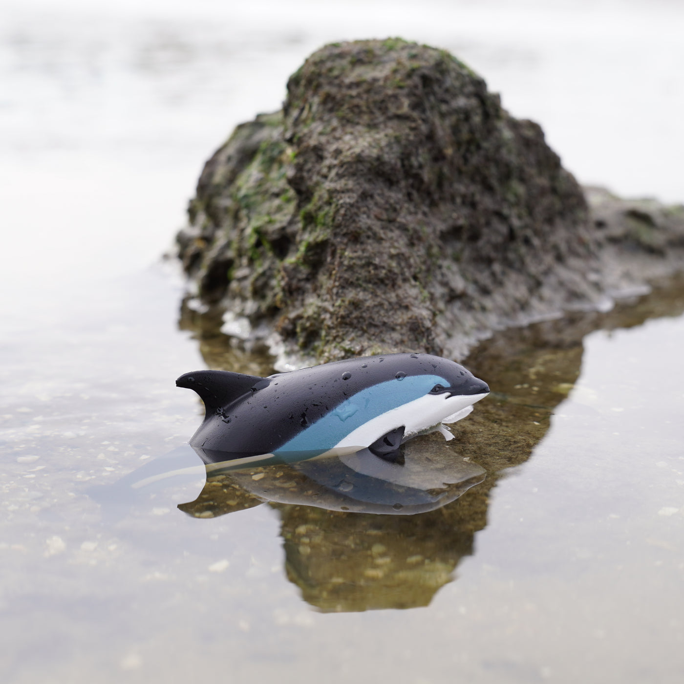 Atlantic White-Sided Dolphin Toy | Sea Life | Safari Ltd®
