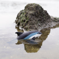 Atlantic White-Sided Dolphin Toy | Sea Life | Safari Ltd®