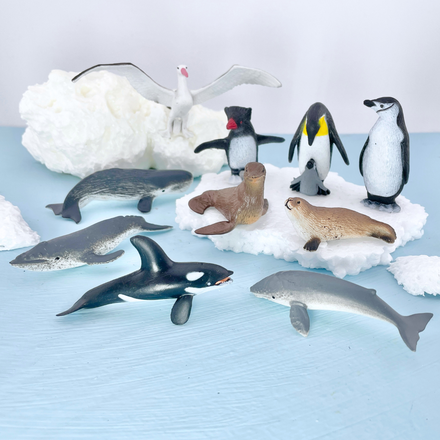 Antarctica TOOB® | TOOBS® - Mini Toys | Safari Ltd®