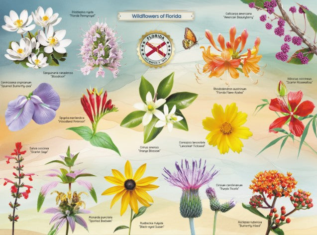 Wildflowers of Florida Puzzle |  | Safari Ltd®