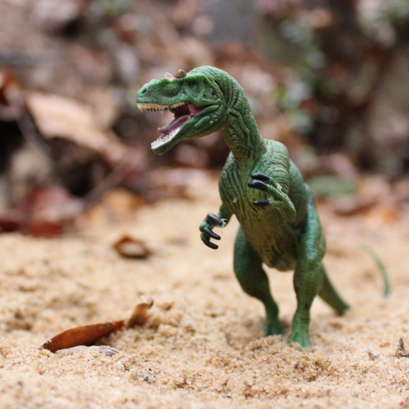 Allosaurus Toy | Dinosaur Toys | Safari Ltd®