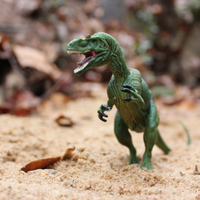 Allosaurus Toy | Dinosaur Toys | Safari Ltd®