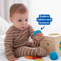 The Totli Box |  | Safari Ltd®