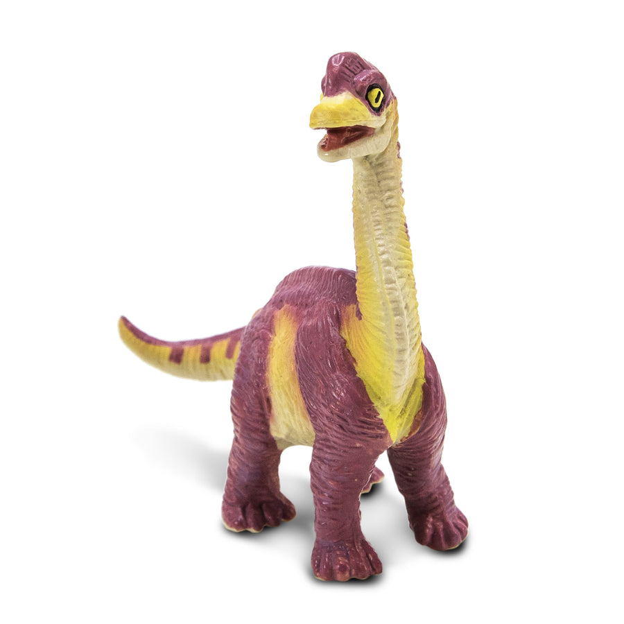 Brachiosaurus Baby Figure |  | Safari Ltd®