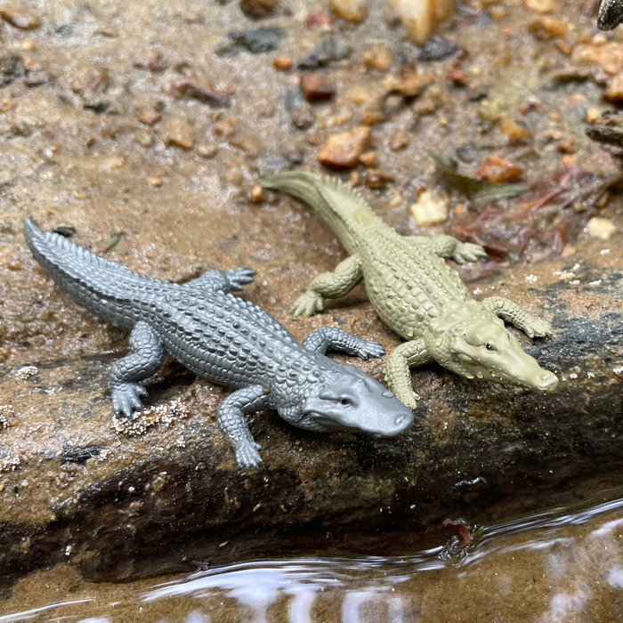 In The Water TOOB® | Safari Ltd - Foto 1