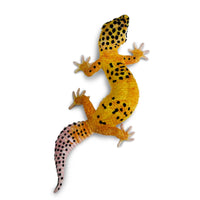 Leopard Gecko Toy Figure |  | Safari Ltd®