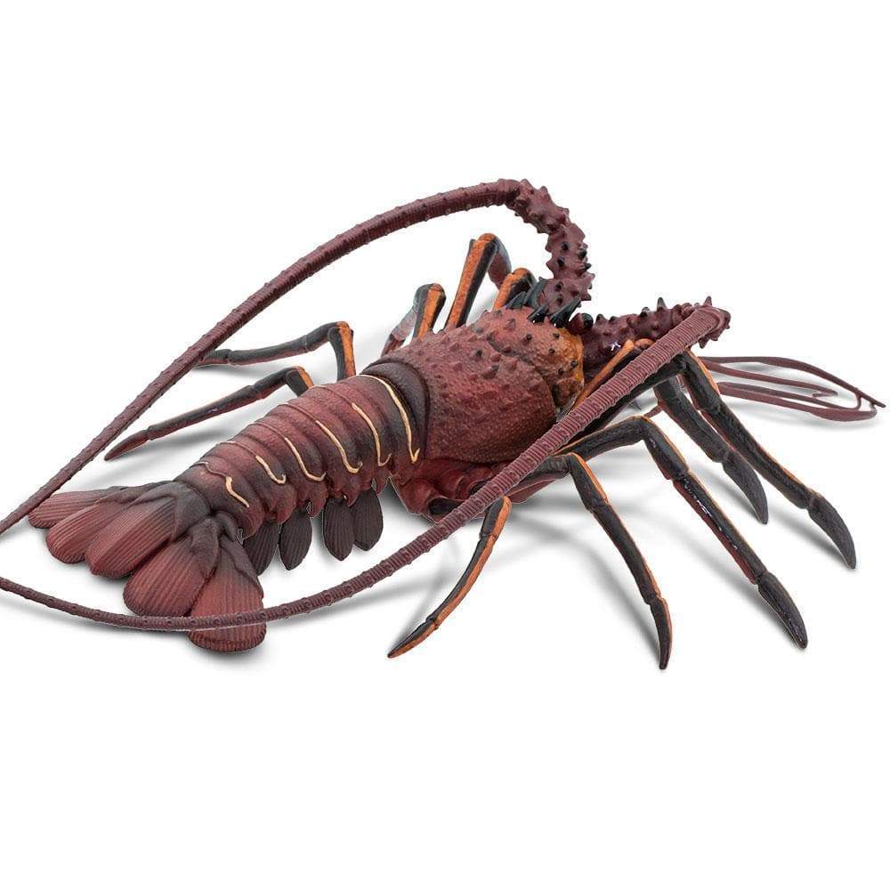 Spiny Lobster Toy | Incredible Creatures | Safari Ltd®