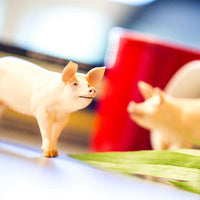 Large White Pig Toy | Incredible Creatures | Safari Ltd®