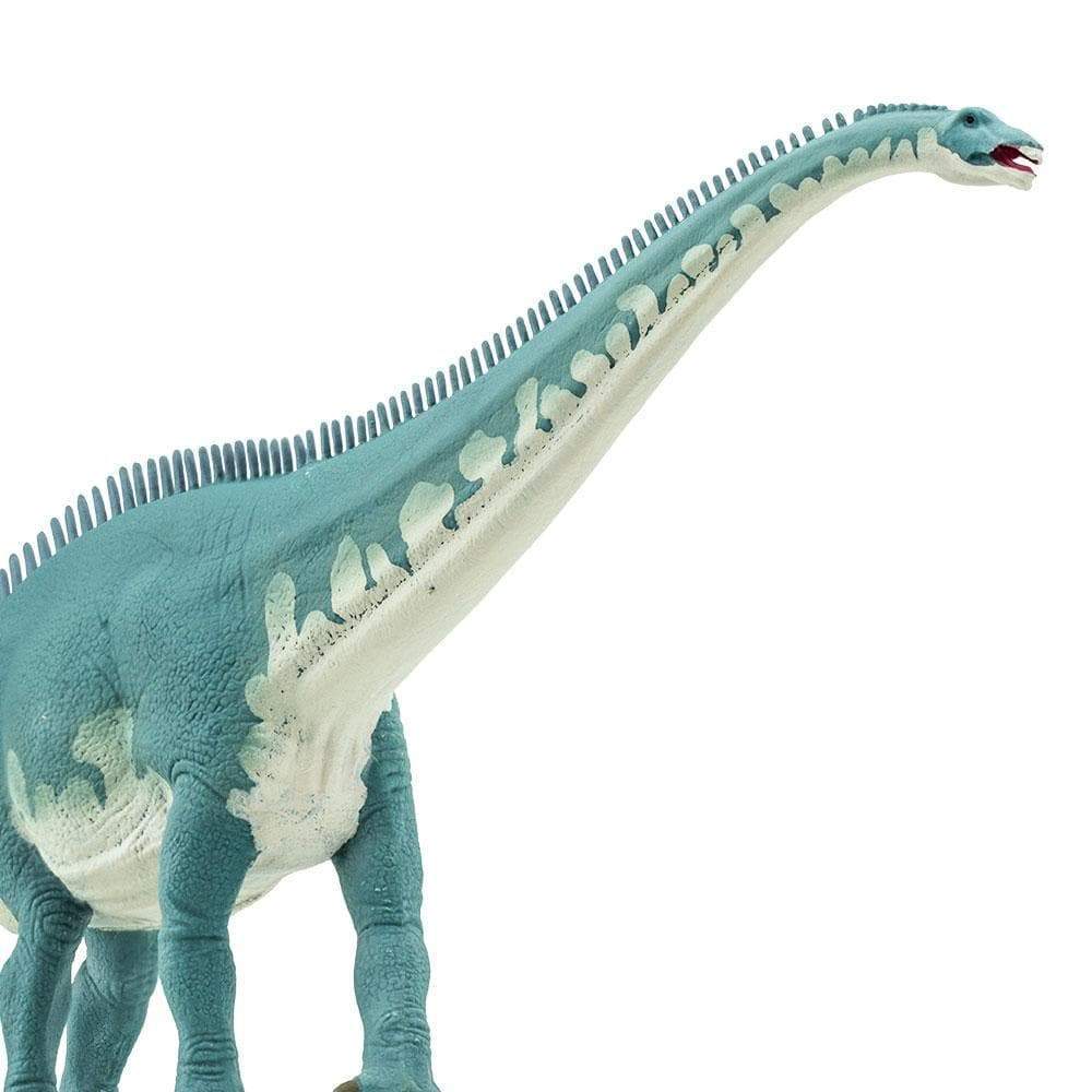 Diplodocus Toy | Dinosaur Toys | Safari Ltd®