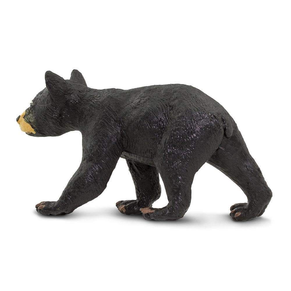 Black Bear Cub Toy | Wildlife Animal Toys | Safari Ltd®