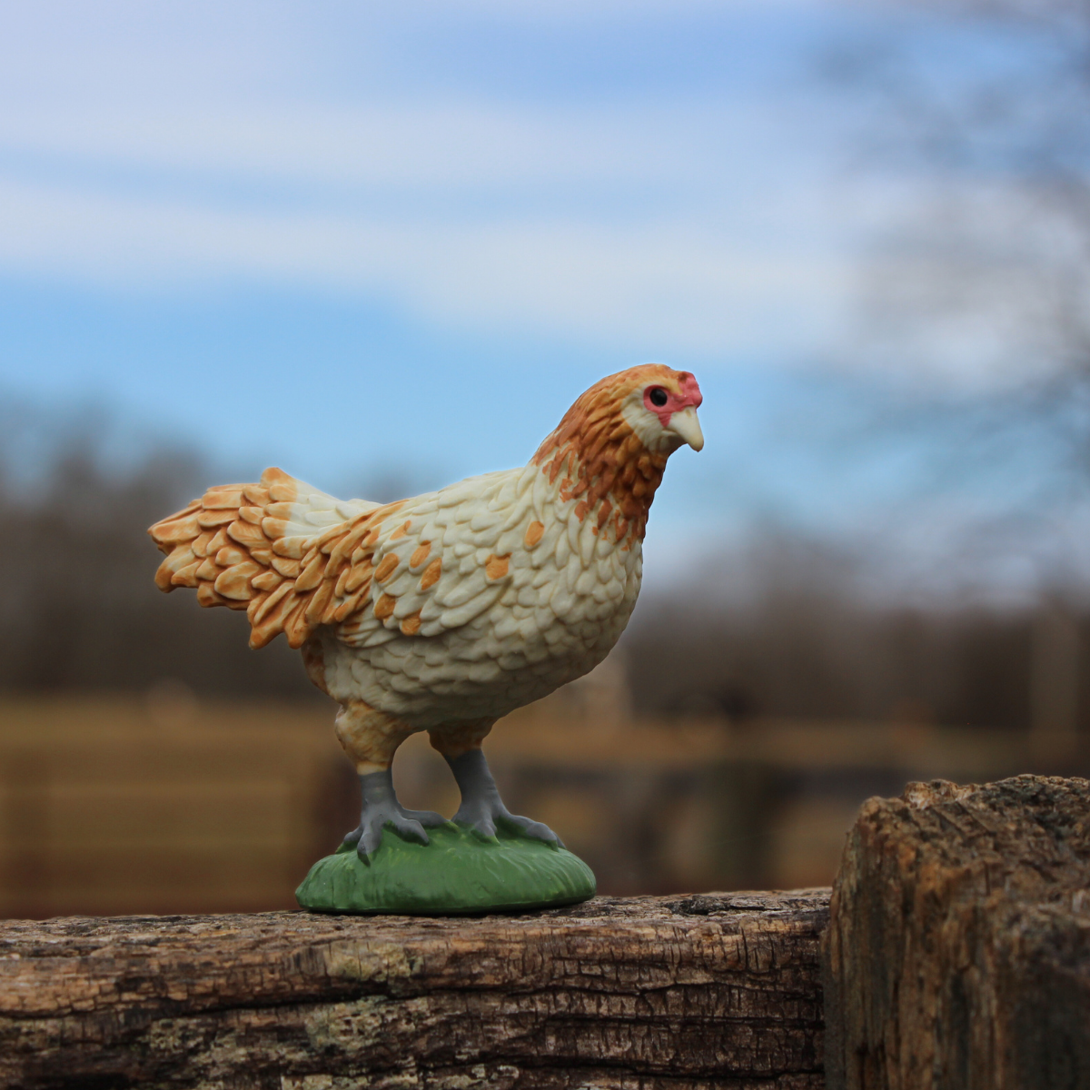 Ameraucana Chicken Toy | Farm | Safari Ltd®