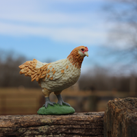 Ameraucana Chicken Toy | Farm | Safari Ltd®
