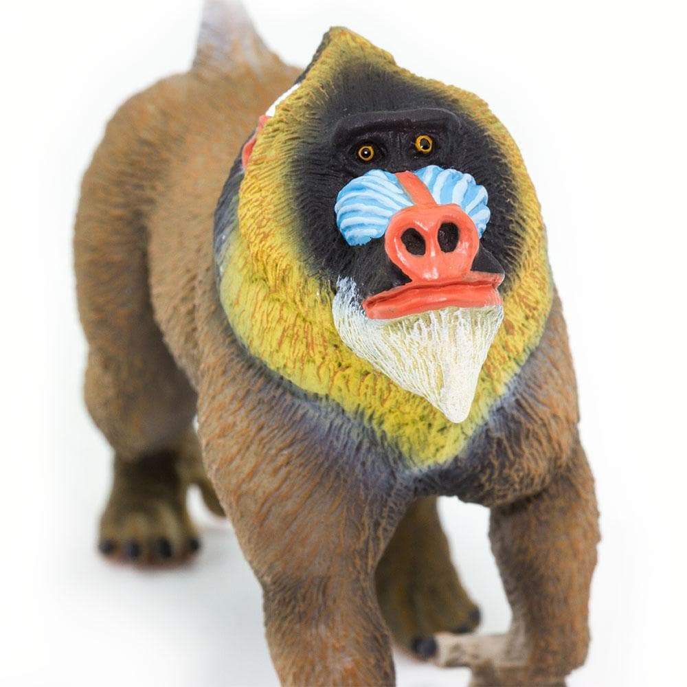 Mandrill Toy | Wildlife Animal Toys | Safari Ltd®
