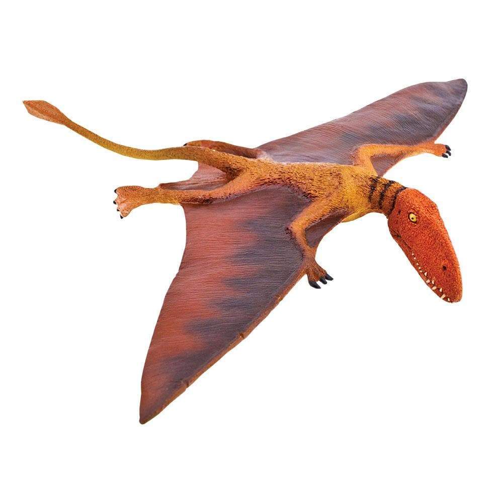Dimorphodon Figurine Wild Safari Prehistoric World Safari Ltd