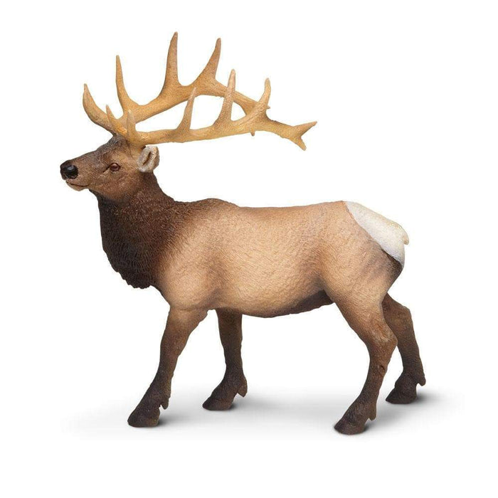 Wild safari ltd on sale