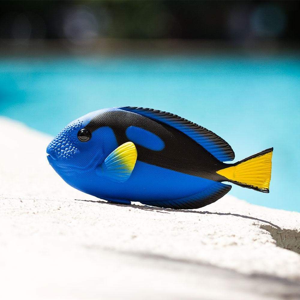 Blue Tang Toy | Incredible Creatures | Safari Ltd®