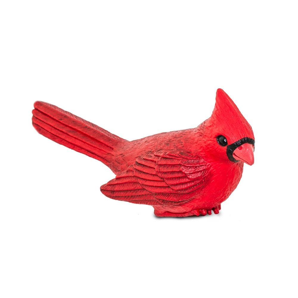 Cardinal Toy | Incredible Creatures | Safari Ltd®