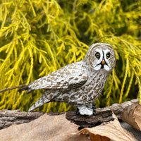 Great Grey Owl Toy |  | Safari Ltd®