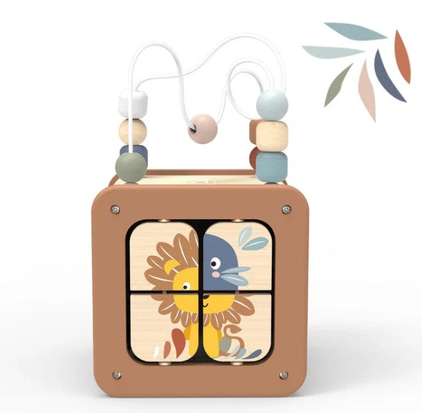 Speedy Monkey 5 In 1 Activity Cube