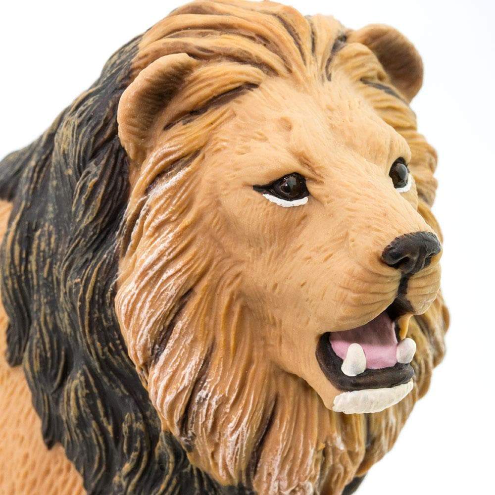 Lion Toy | Wildlife Animal Toys | Safari Ltd®