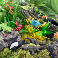 Rainforest TOOB® | TOOBS® - Mini Toys | Safari Ltd®