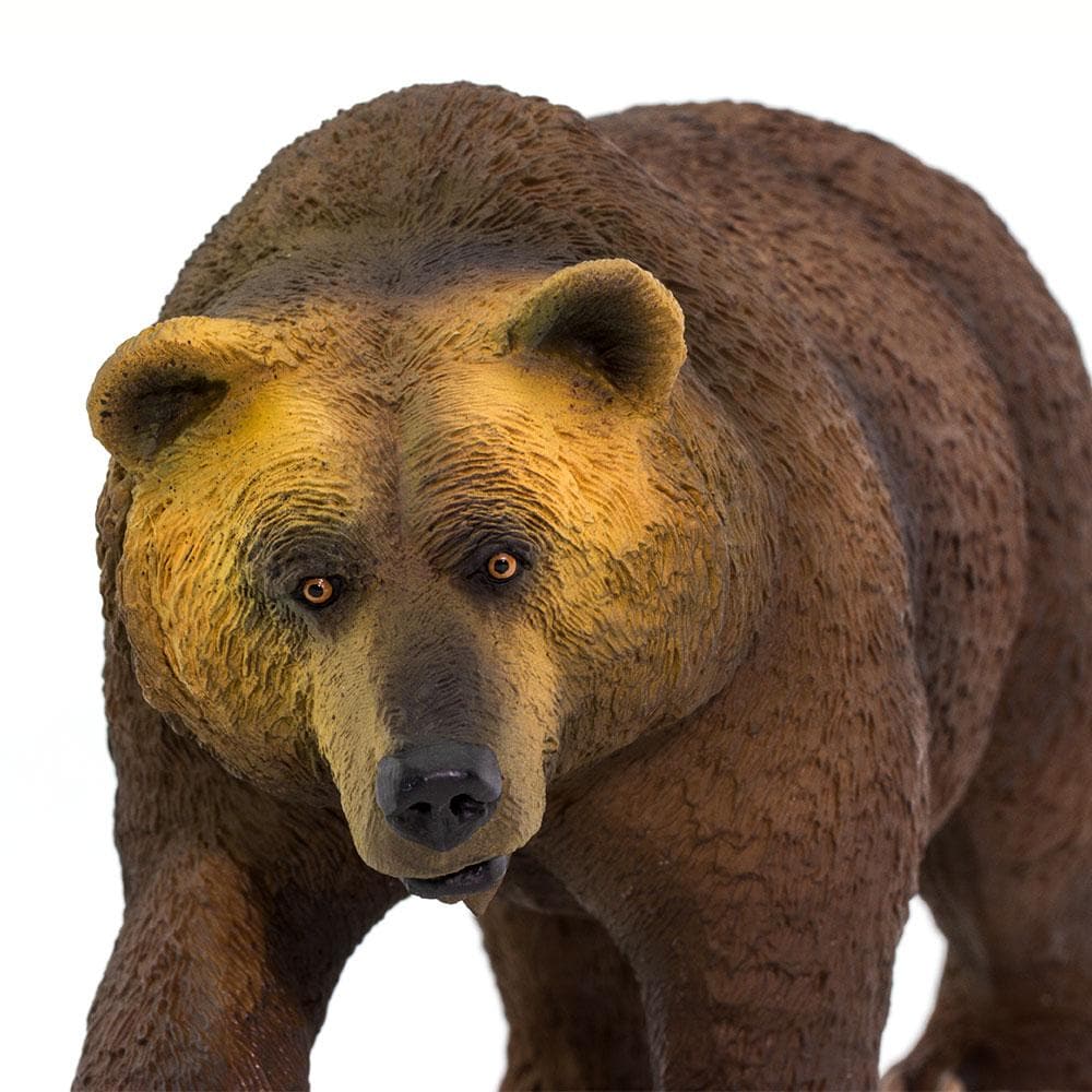Grizzly Bear Toy | Wildlife Animal Toys | Safari Ltd®