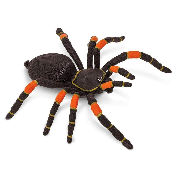 Orange-kneed Tarantula - Safari Ltd®