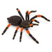 Orange-kneed Tarantula - Safari Ltd®