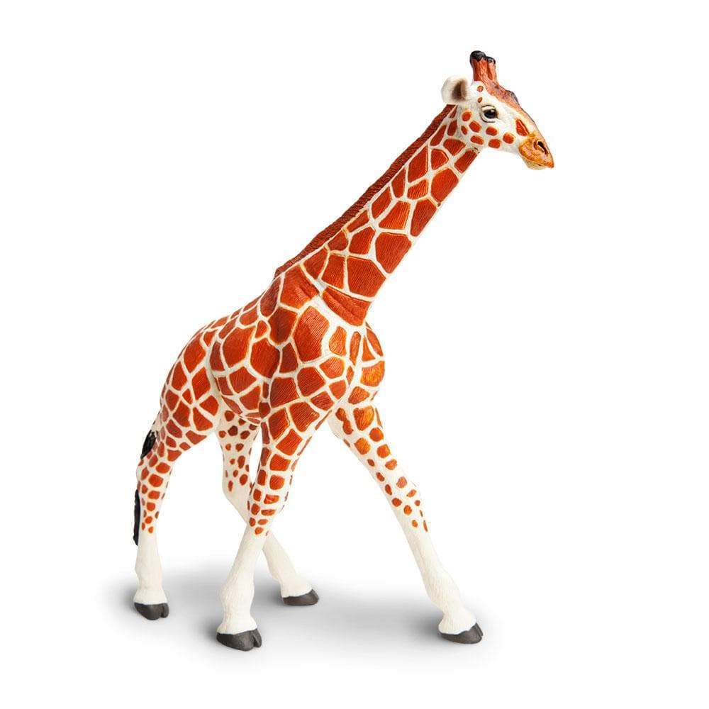 Reticulated Giraffe Toy | Wildlife Animal Toys | Safari Ltd®