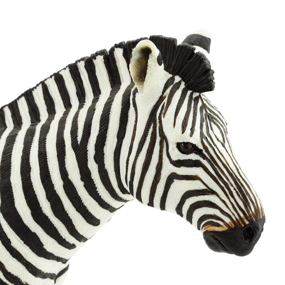 Zebra Toy | Wildlife Animal Toys | Safari Ltd®