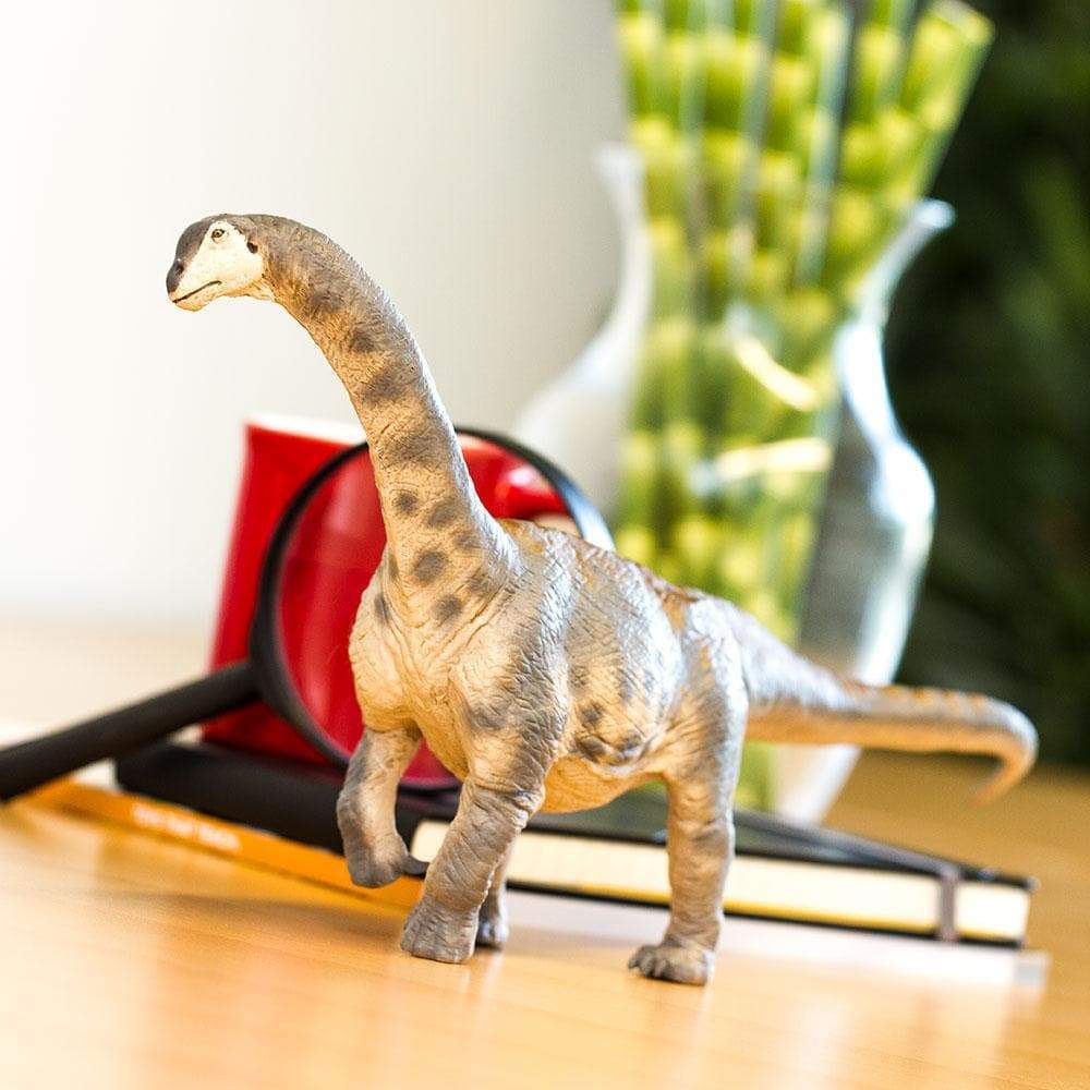 Camarasaurus Toy | Dinosaur Toys | Safari Ltd®