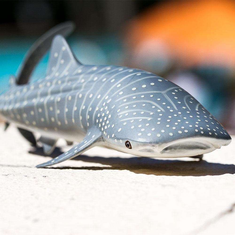 Whale Shark Toy | Sea Life | Safari Ltd®