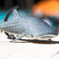 Whale Shark Toy | Sea Life | Safari Ltd®