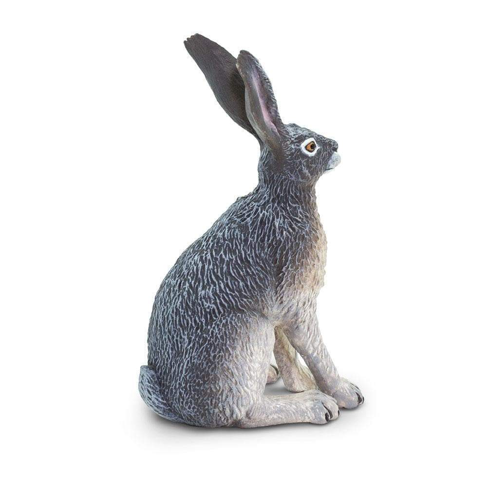 American Desert Hare Toy | Wildlife Animal Toys | Safari Ltd®
