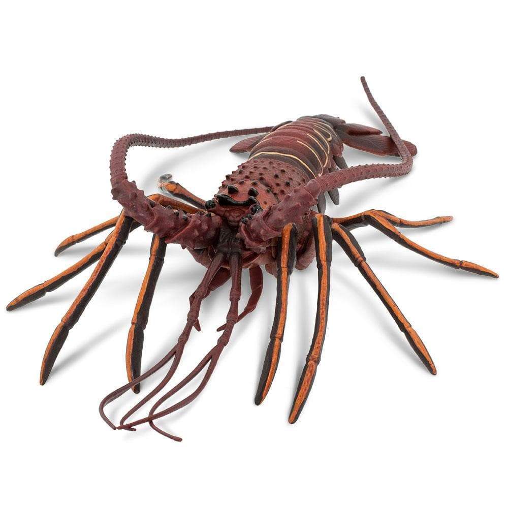 Spiny Lobster Toy | Incredible Creatures | Safari Ltd®