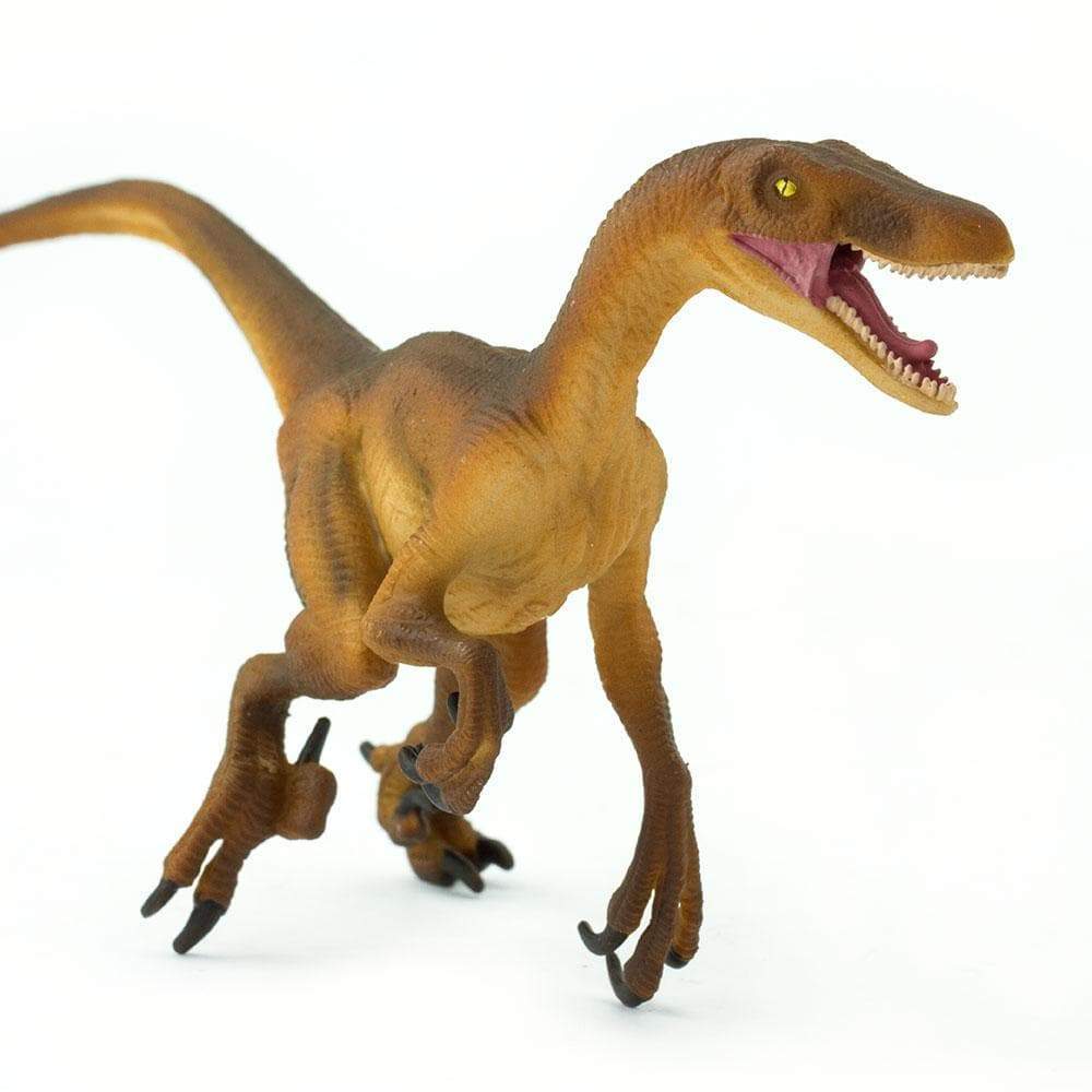 Velociraptor Toy | Dinosaur Toys | Safari Ltd®