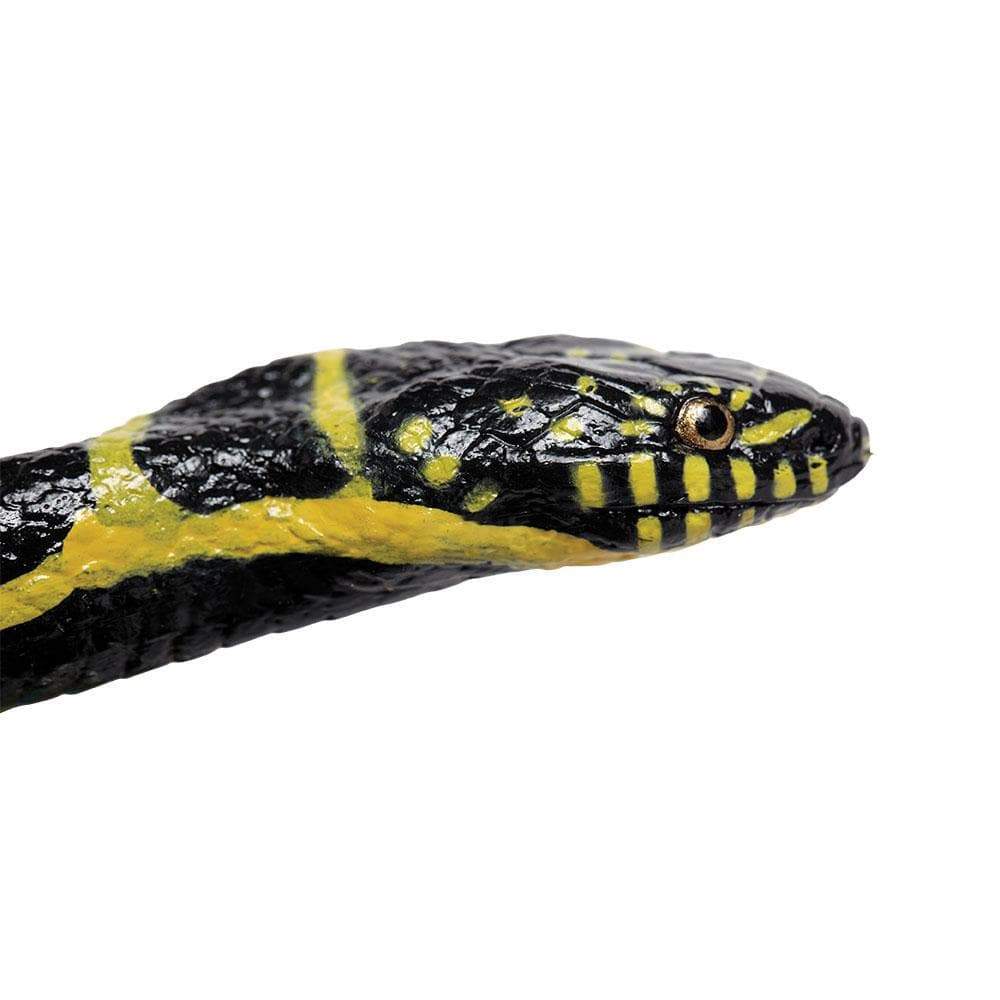 Chain Kingsnake Toy | Incredible Creatures | Safari Ltd®