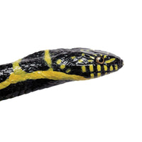 Chain Kingsnake Toy | Incredible Creatures | Safari Ltd®