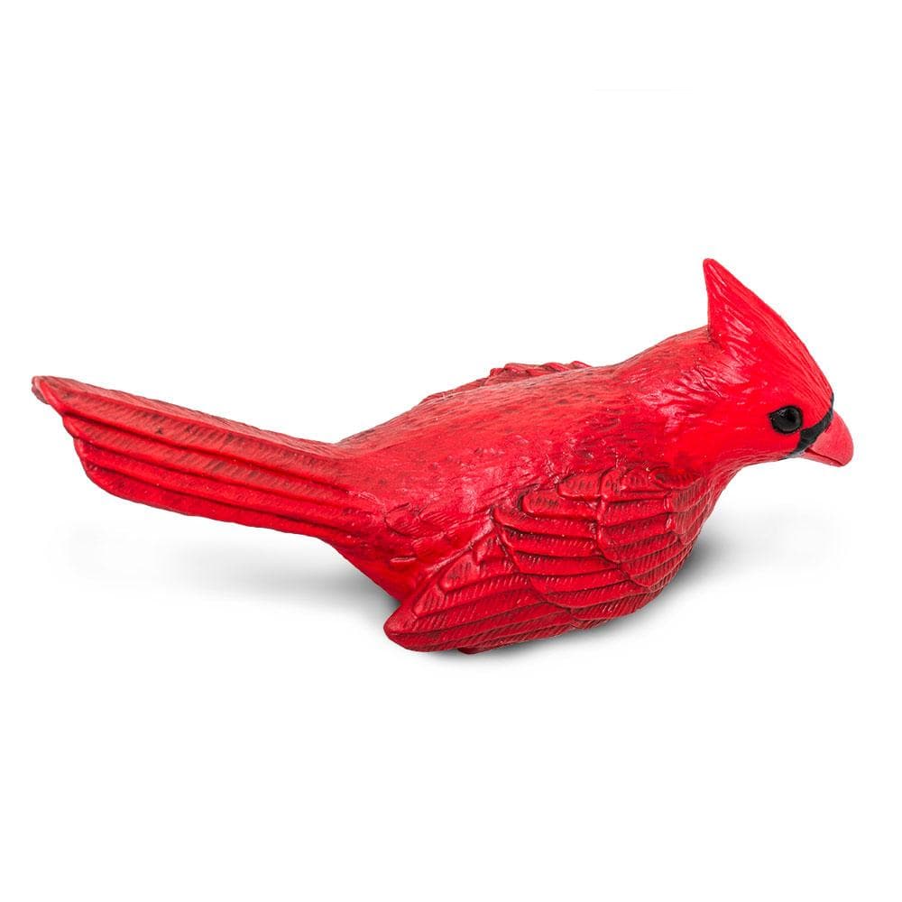 Cardinal Toy | Incredible Creatures | Safari Ltd®