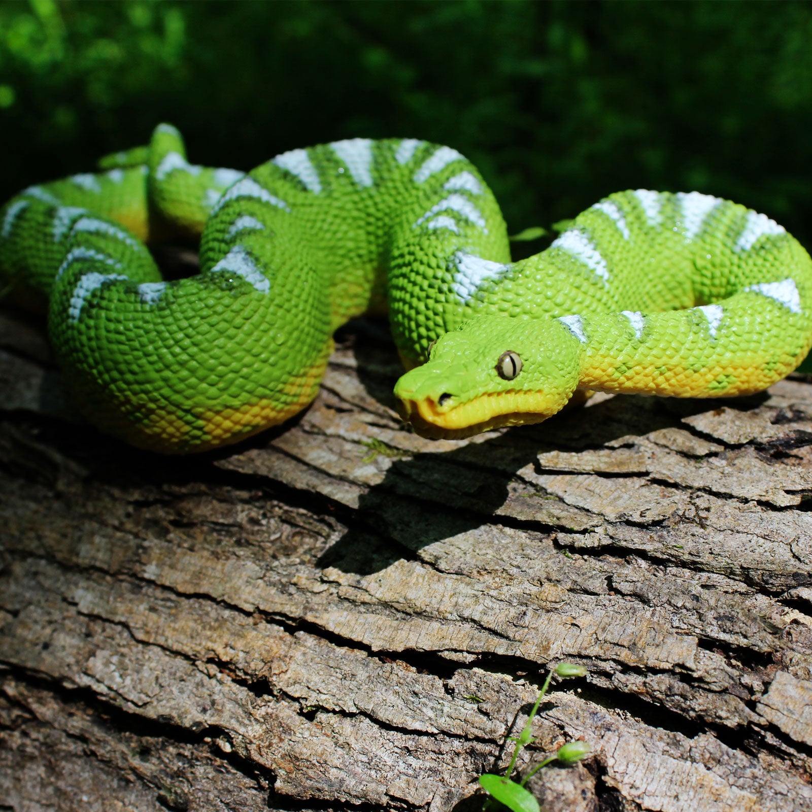 Emerald Tree Boa Figure – Realistic Snake Toy for Kids, Boys and