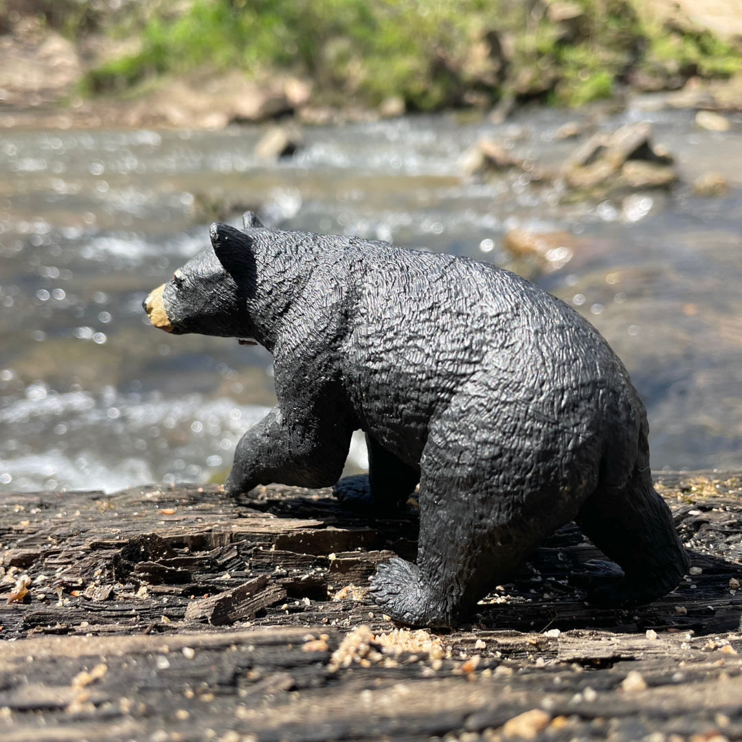 Black Bear Toy | Wildlife Animal Toys | Safari Ltd®
