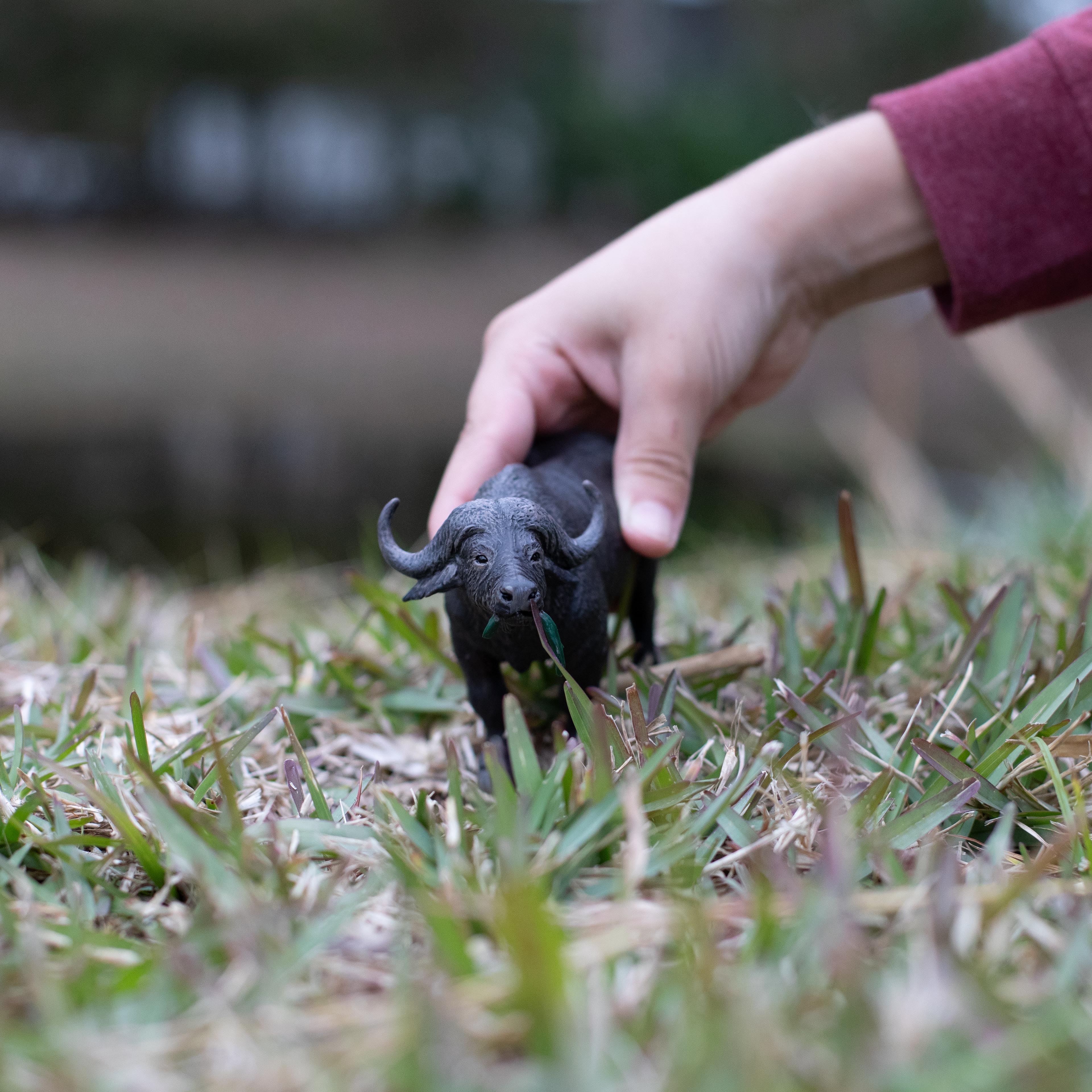 Safari Ltd Cape Buffalo Toy