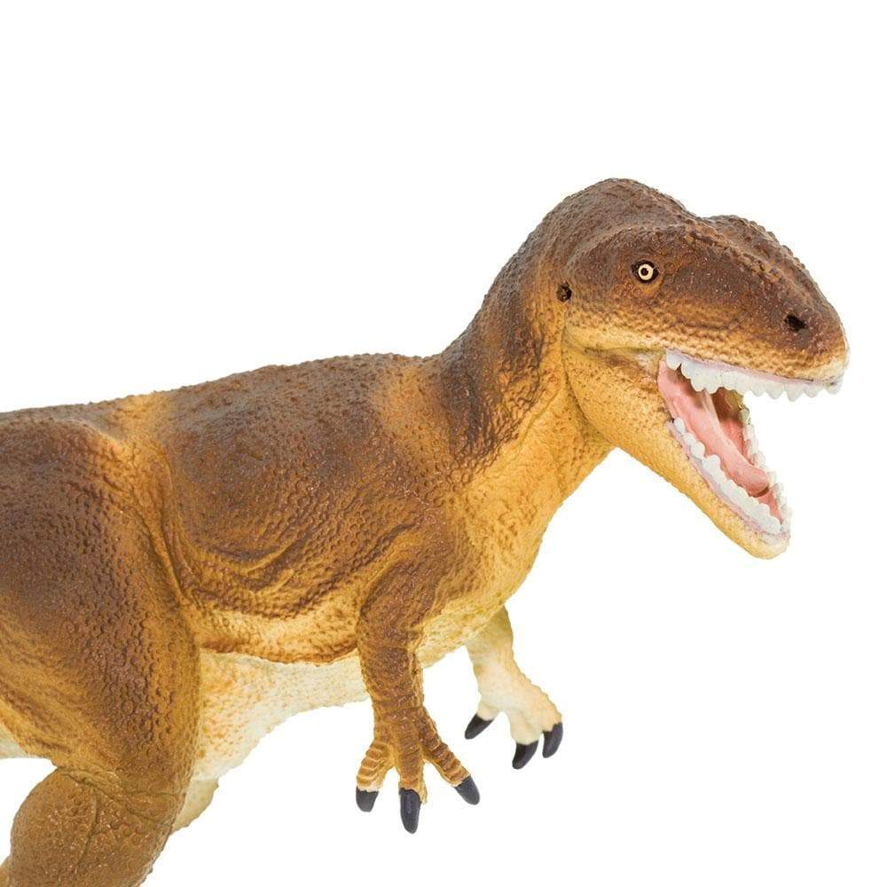 Carcharodontosaurus Toy | Dinosaur Toys | Safari Ltd®
