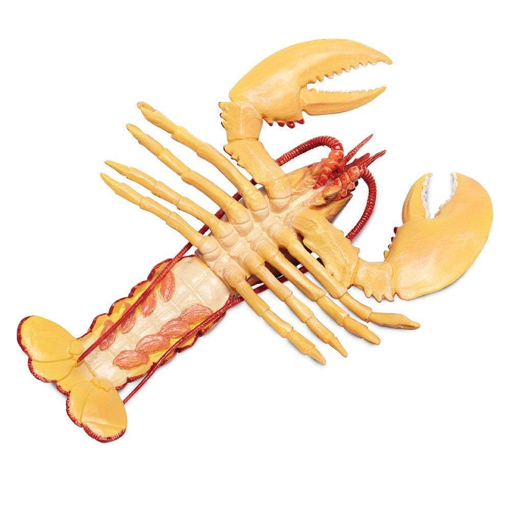 Maine Lobster Toy | Incredible Creatures | Safari Ltd®