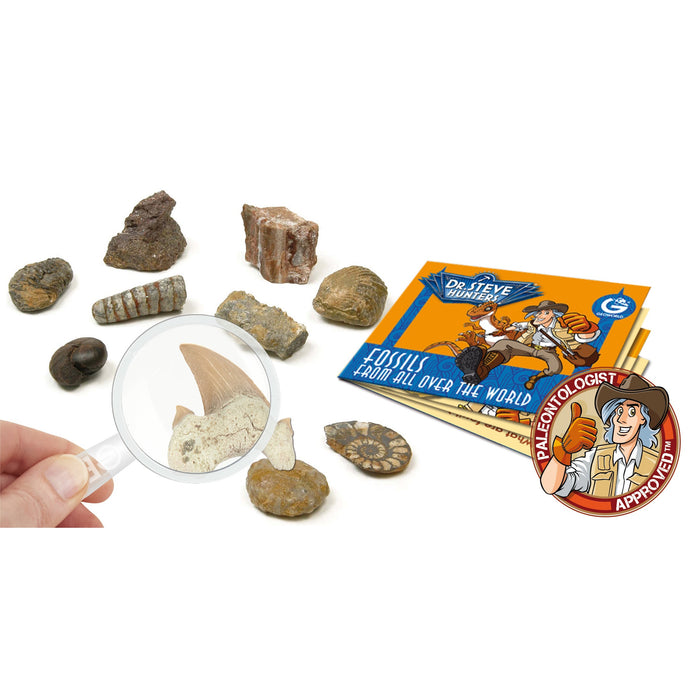 Dr. Steve Hunters Fossils from All Over the World  - 10 Fossils Science & Education Toy Set |  | Safari Ltd®