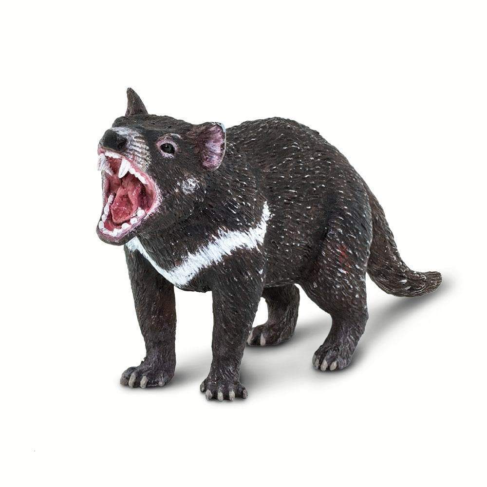 Tasmanian Devil Toy | Wildlife Animal Toys | Safari Ltd®