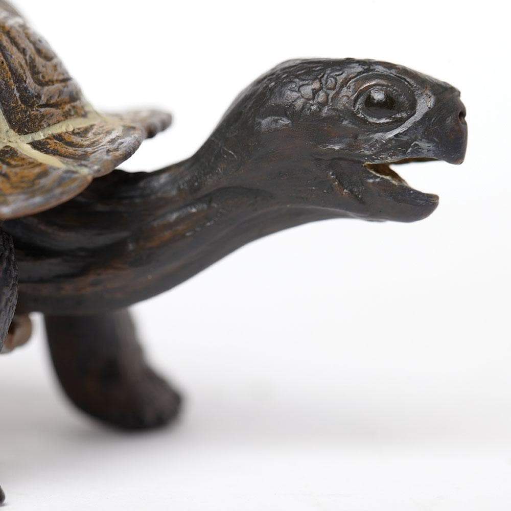 Tortoise Baby | Incredible Creatures | Safari Ltd®