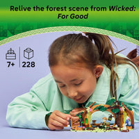 LEGO Wicked Elphaba's Retreat Building Set 75687