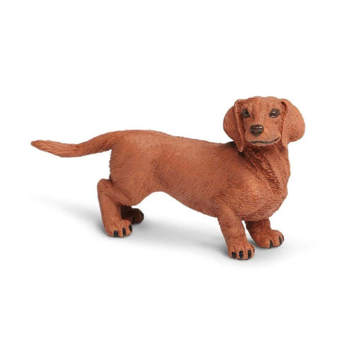 Dachshund - Safari Ltd®